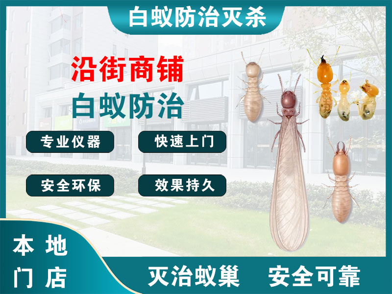 永嘉沿街商铺白蚁防治