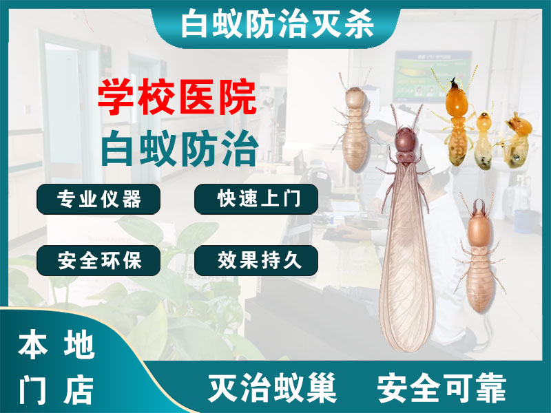 永嘉学校医院白蚁防治