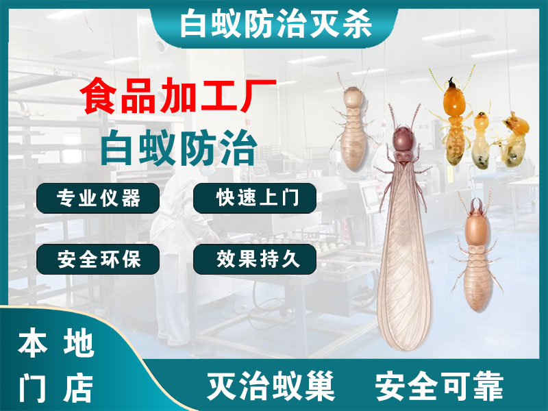 永嘉食品加工厂白蚁防治