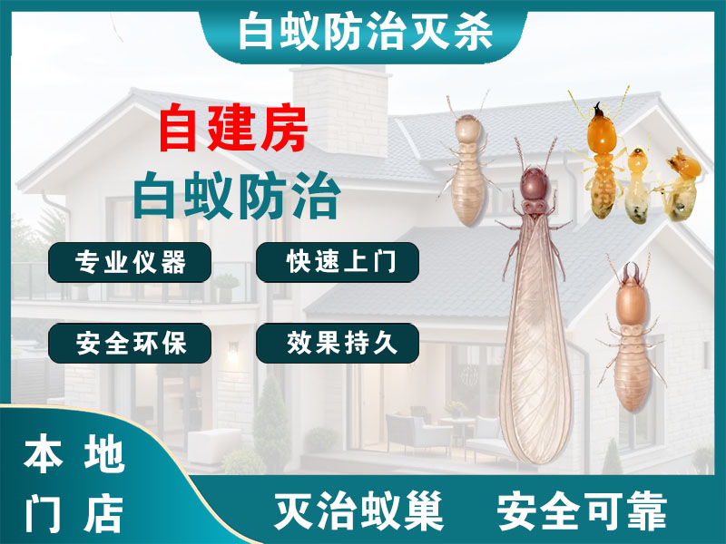 永嘉自建房白蚁防治