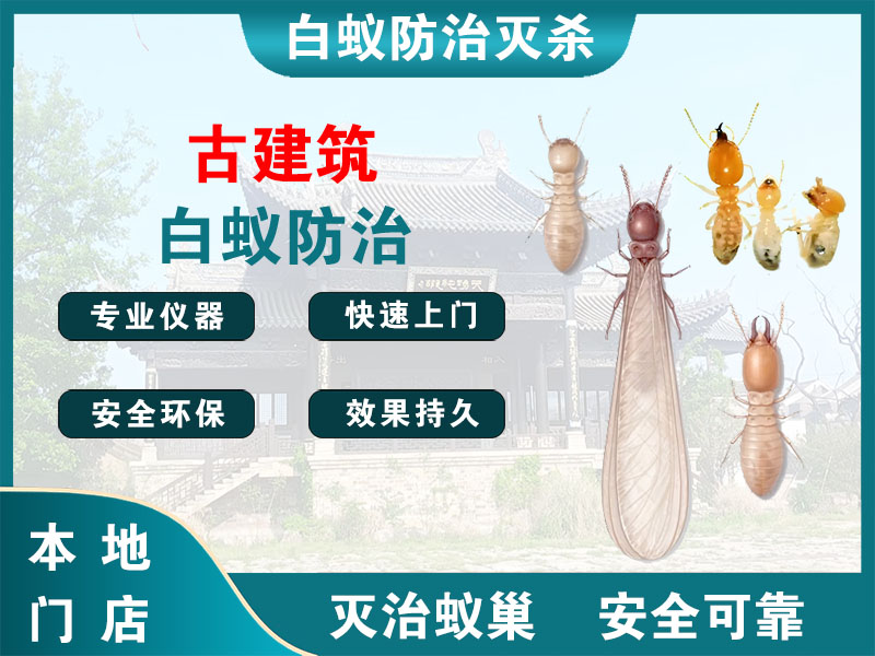 永嘉古建筑白蚁防治