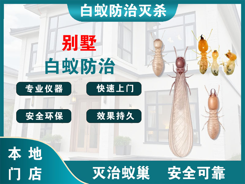 永嘉别墅白蚁防治