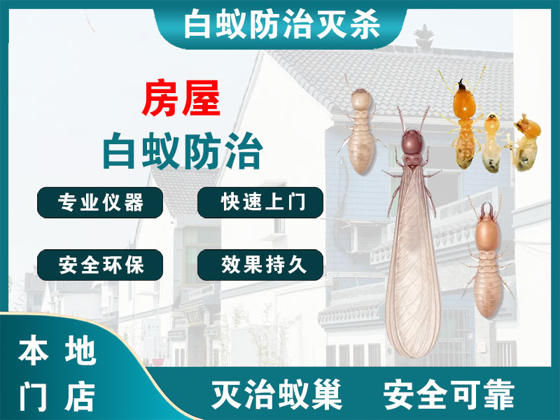 永嘉房屋白蚁防治